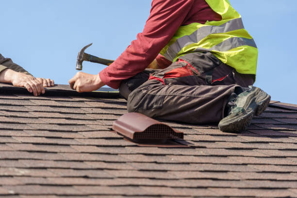 Best Roof Repair Services  in Brevard, NC
