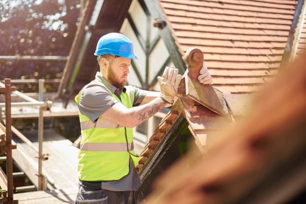 Best Roof Gutter Cleaning  in Brevard, NC