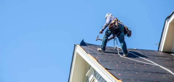 Best Roof Maintenance Services  in Brevard, NC